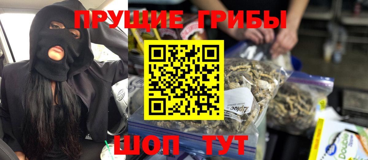 Тихвин  Галлюциногенные грибы Psilocybe  цена наркотик  Вход с VPN 