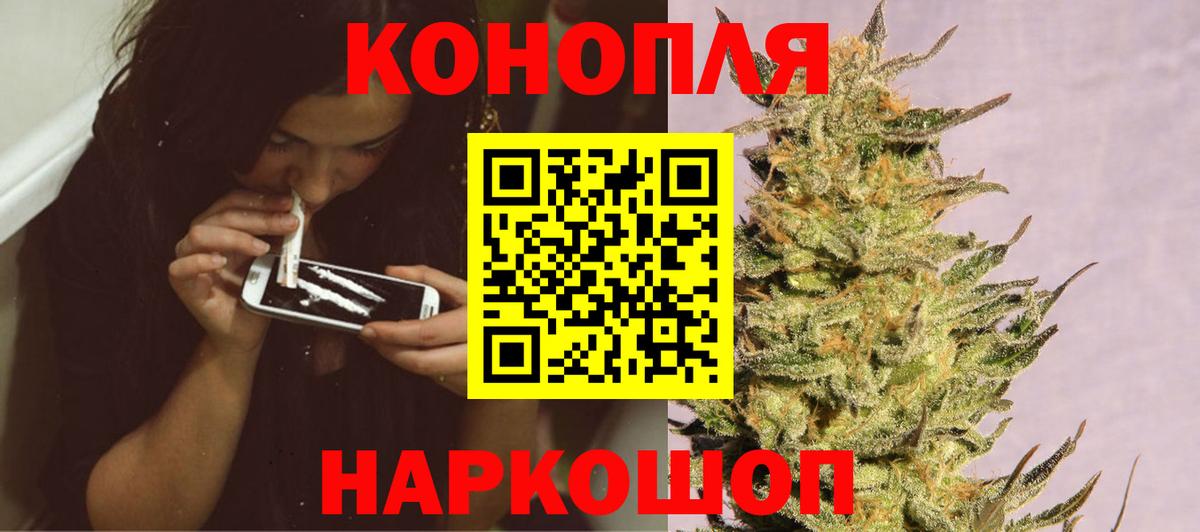 Бошки Шишки конопля Тихвин